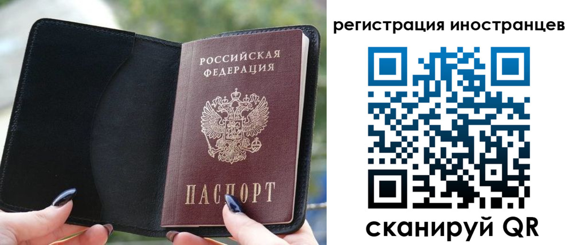 найти адрес прописки в Высоковске
